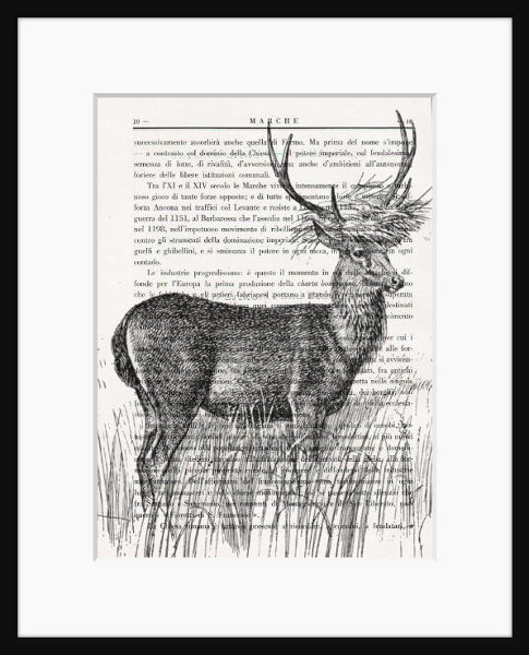 deer art print