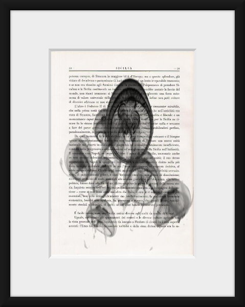 jellyfishes art print