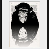 spiteful monkey art print