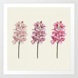 three tones orchids fine art print by Layla Oz