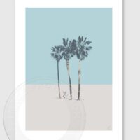 palm trees on a solitary beach